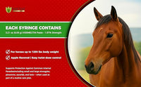 Ivermectin Horse Paste 1.87% – Apple Flavored – 6.08g Tube – for Horses Up to 1250 lb - 1 Pack