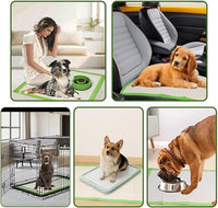 Dog Pee Pads Rugular 22"x22", Thicker ECO Green Small Disposable Puppy Training Pads Super Absorbent Full Edge-Wrapping Pad for Dogs, Puppies, Doggies, Cats-(100 Count)