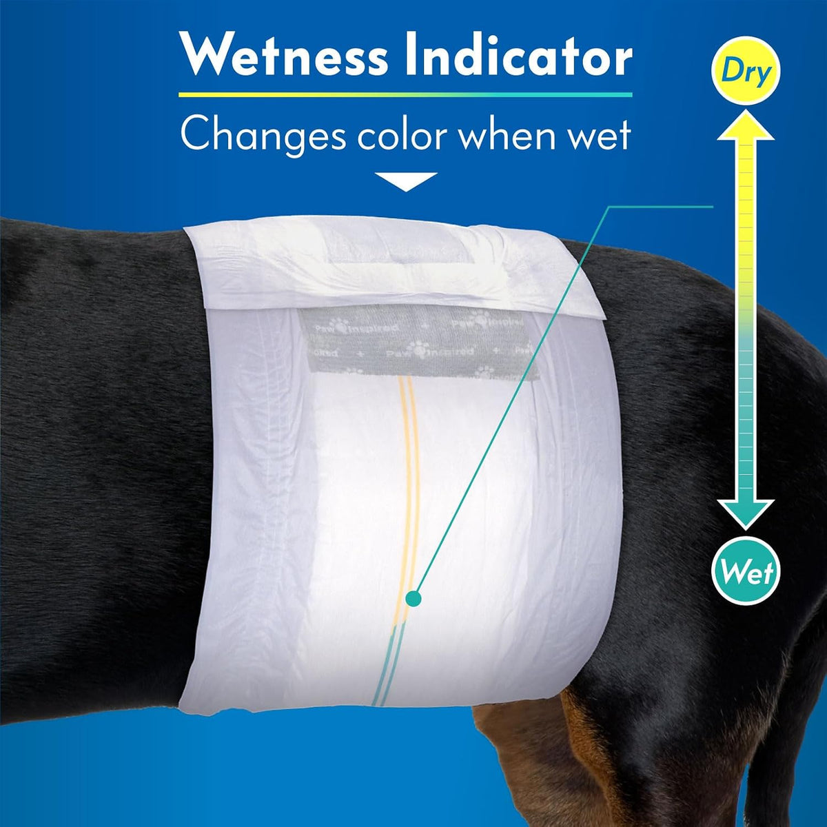Paw Inspired Select Fit Male Dog Wraps, Wetness Indicator - Small - image 3