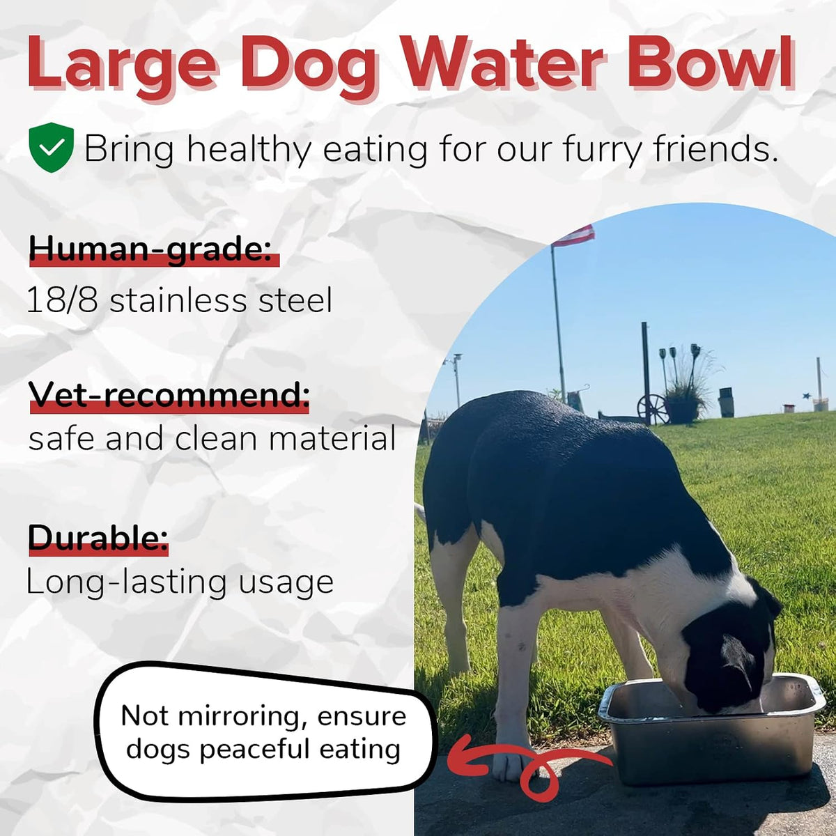 PEDAY 2.64 Gallon Extra Large Dog Water Bowl - 2.64 gallon / Silver Classic - image 2