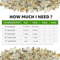 10 LBS Natural Decorative Jade Stones – Ideal for Plants, Succulents, Aquariums, Vases, and Garden Pots. 1/5 Inch Natural Stones Enhance Drainage and Soil Moisture Balance (Jade, 10 Pounds)