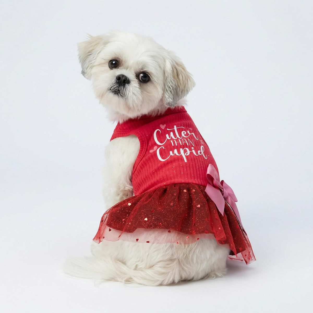 Fitwarm Halloween Skeleton Dog Dress - Large / Red - image 4