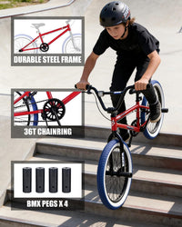 vollsch RUCKUS 20 inch kids freestyle BMX bike with pegs - view 21