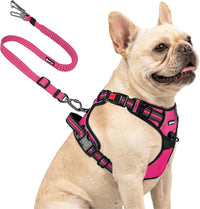 Joytale No Pull Dog Harness & Seat Belt, Easy On 3-Buckle, L - Hot Pink / Small