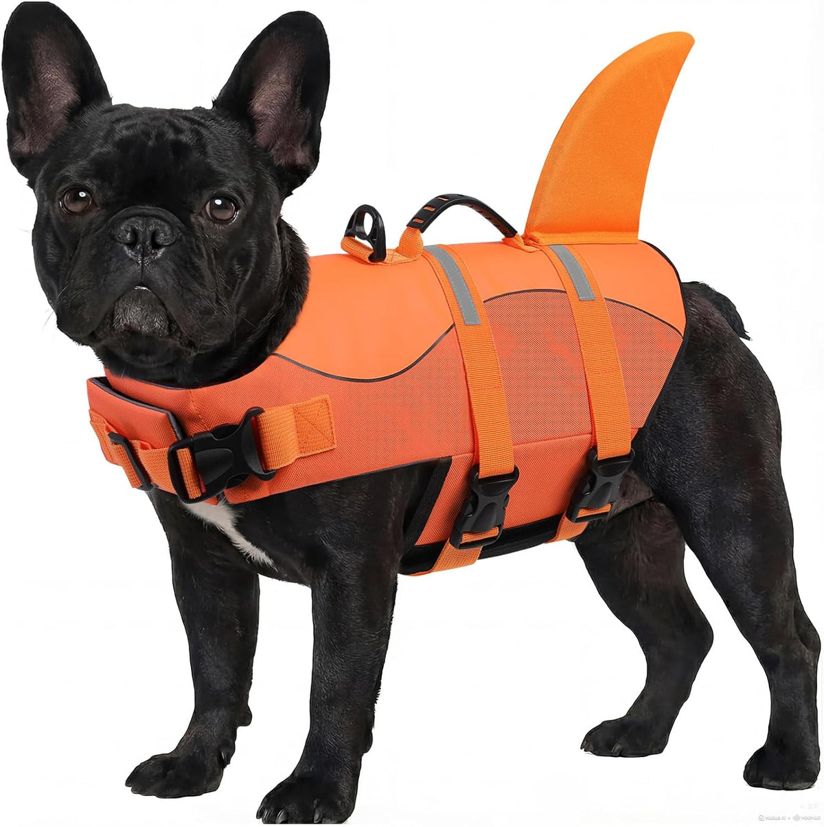 ASENKU Dog Life Jacket, Pet Safety Vest for Swimming & Boating - Medium / OrangeMix