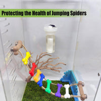 Jumping Spider Water Dispenser, Magnetic Hanging Feeder - Transparent / 5ML - image 3