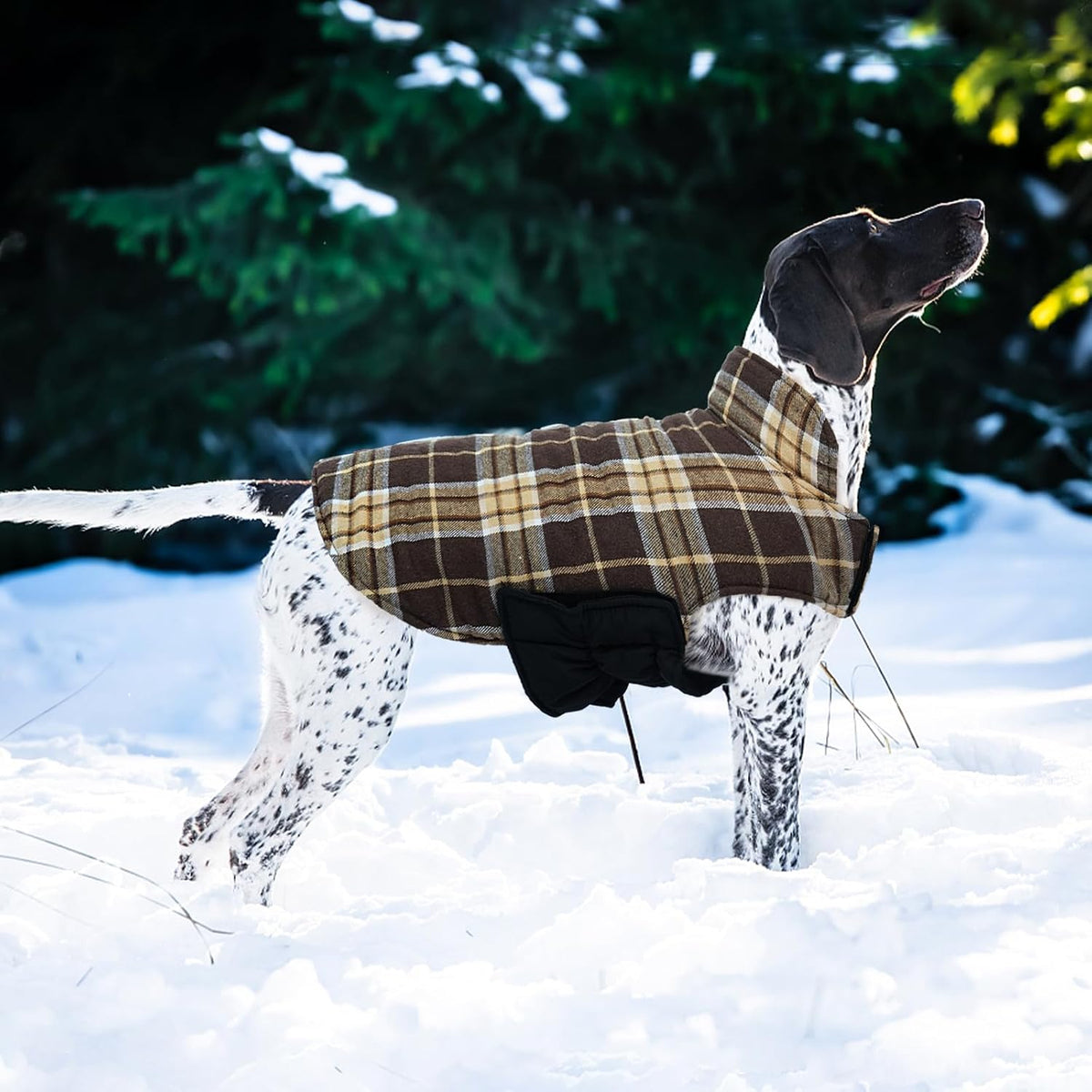 Kuoser Waterproof Dog Coat - New Brown / X-Large (Pack of 1) - image 2