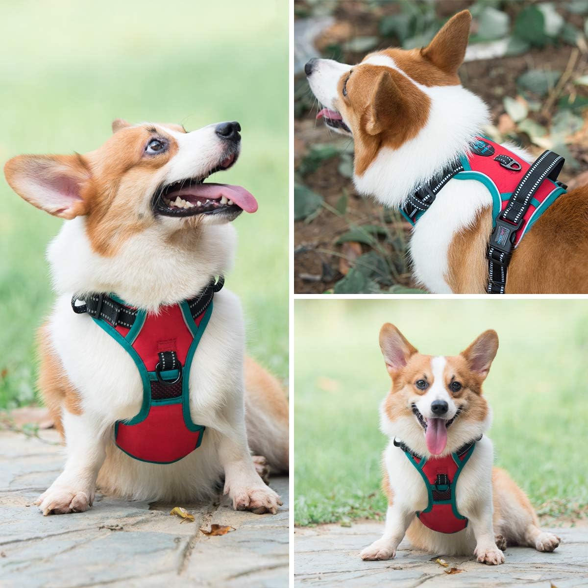 PHOEPET Upgraded No Pull Dog Harness, Reflective Adjustable Vest – Essentials for Dogs - Red / Medium - image 3