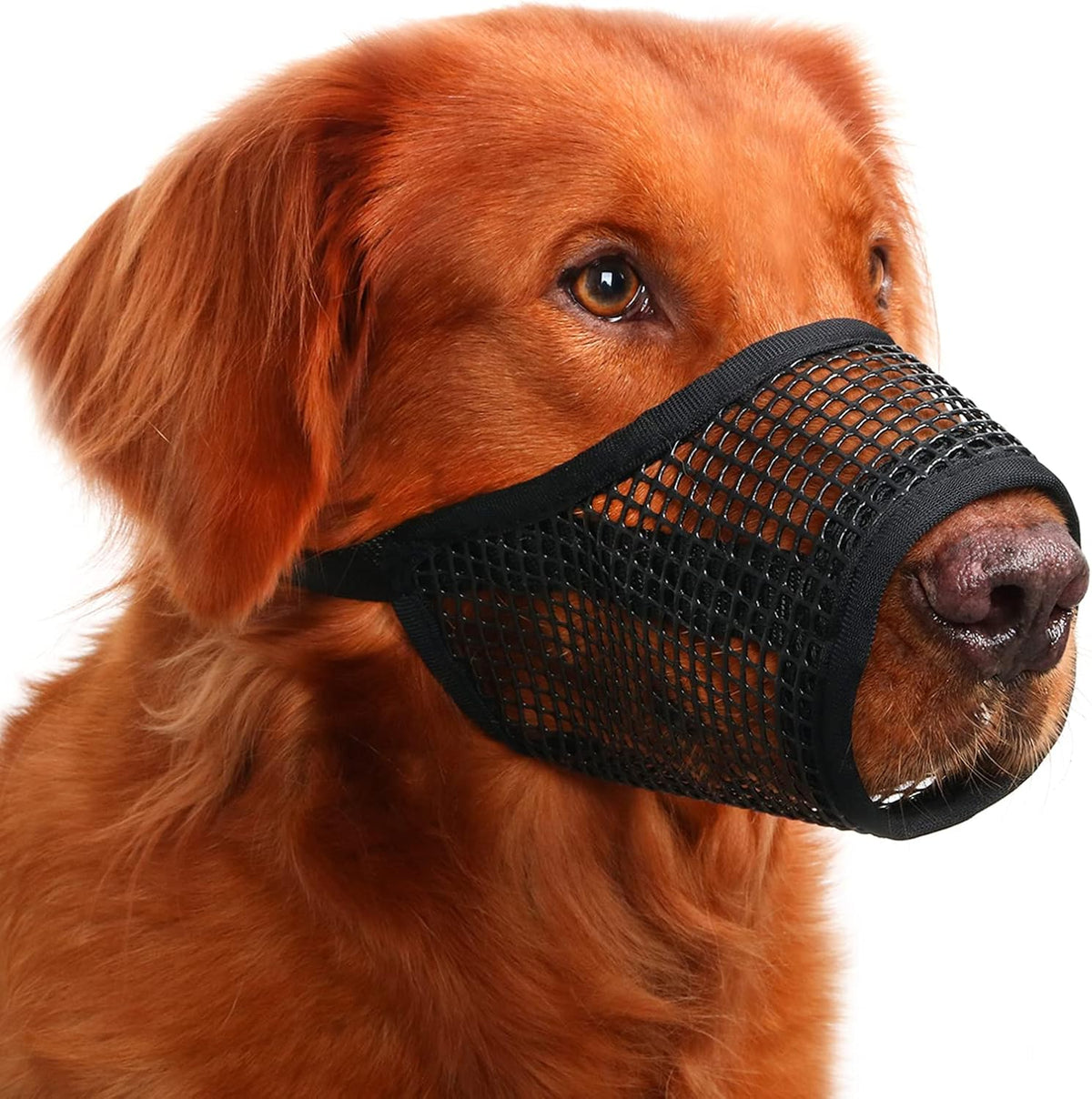 Dog Muzzle, Soft Mesh Muzzles for Small Dogs Biting, XXS - Black / L-Snout (8¼”-9”)