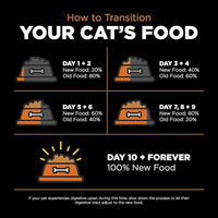 Go! Solutions Skin + Coat Care, Grain-Free Dry Cat Food, Salmon Recipe, 16 lb Bag