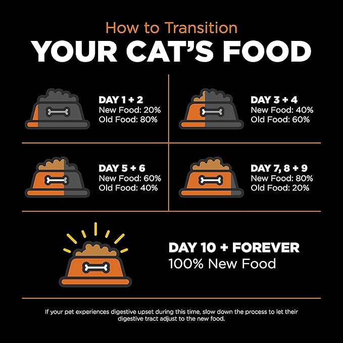 Go! Solutions Skin + Coat Care, Grain-Free Dry Cat Food, Salmon Recipe, 16 lb Bag