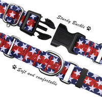 Martingale Dog Collar with Buckle - Star / Medium - image 2