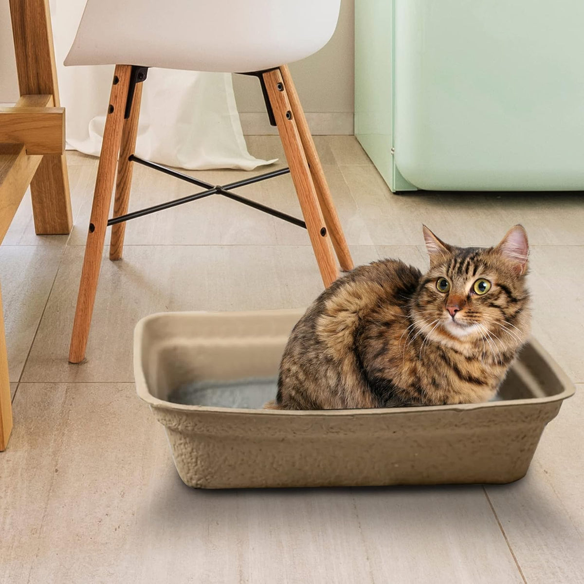 Disposable Litter Boxes – Daily Care for Cats - Brown / Large 16-Pack - image 3