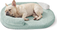 JOEJOY XL Orthopedic Dog Beds Large Sized Dog - Green / M(28"x 20"x 6")