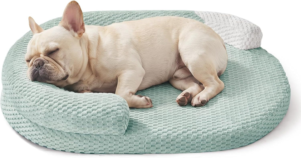 JOEJOY XL Orthopedic Dog Beds Large Sized Dog - Green / M(28"x 20"x 6")
