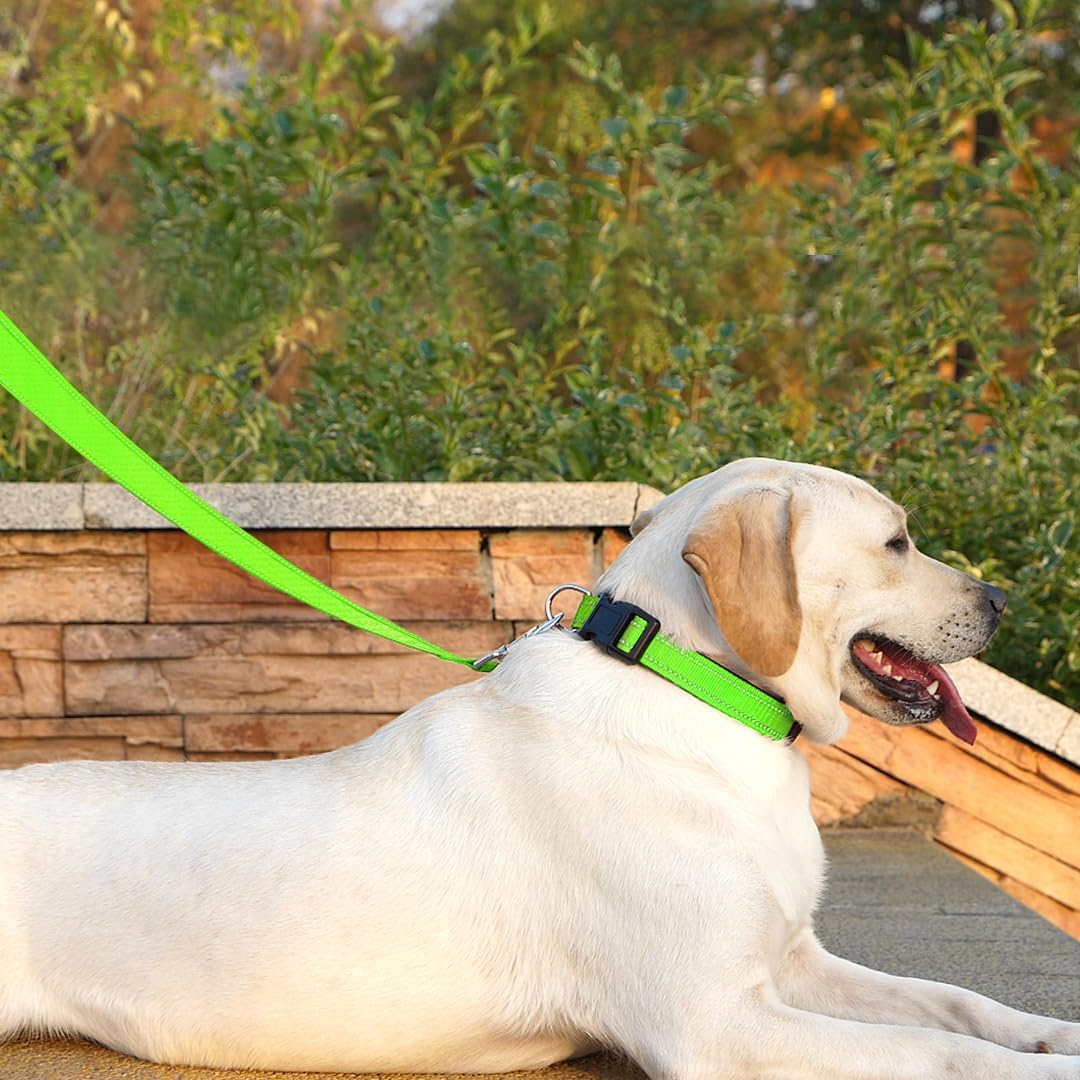 6 FT Basic Dog Leash for Medium Dogs - Refl Green / Medium : 3/4" x 6 FT - image 3