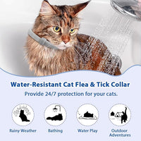 4 Pack Adjustable Flea and Tick Collar for Cats, Natural Plant Oil Formula Cat Flea Collar Provides 32-Month Protection for Flea Tick, Glow-in-The-Dark & Waterproof Cat Flea Treatment for All Cats