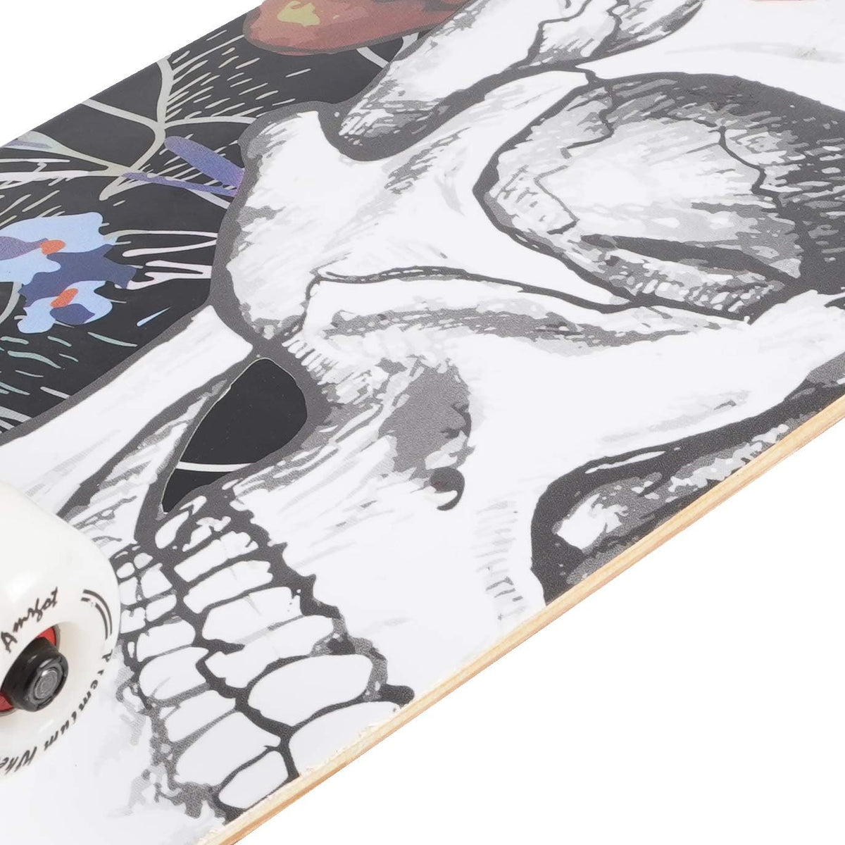 Skateboards for Beginners - 9 - image 3