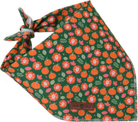 Lionet Paws Spring Daisy Dog Bandana Washable Cotton Handkerchief - Green Pumpkin / Large (Pack of 1) - image 2