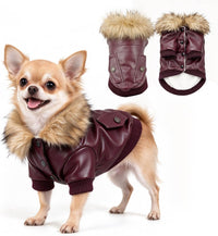LESYPET Dog Leather Jacket for Small Dogs - Small / Wine Red