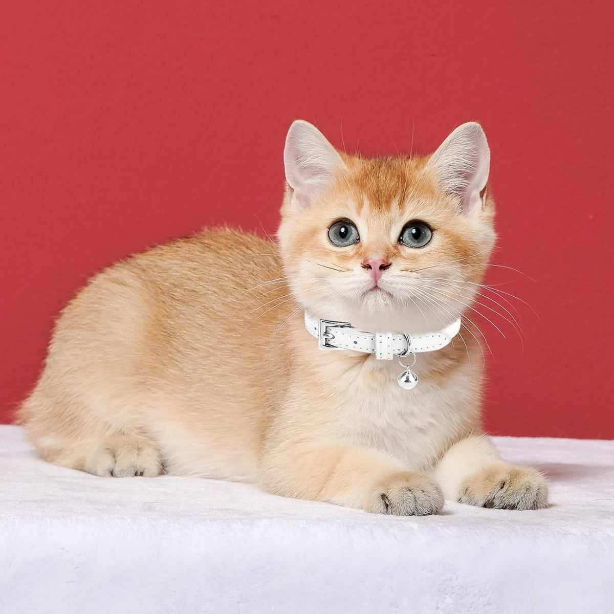PUPTECK 2 PCS Soft Genuine Leather Cat Kitten Collar with Bells - White & Deep Green - image 2