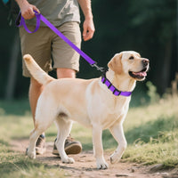 Joytale Reflective Dog Collar, Adjustable Neoprene Padded - Large (Pack of 1) / Purple - image 3