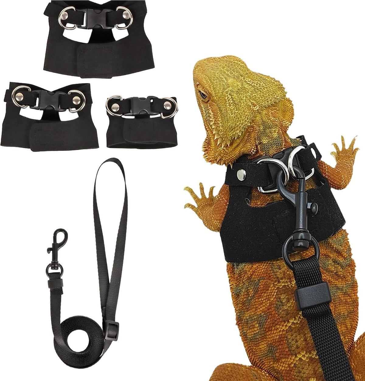 Bearded Dragon Harness Leash Set, 3 Size Lizard Harness - Black