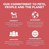 Go! Solutions Sensitivities Limited Ingredient, Grain-Free Dry Cat Food, Salmon Recipe for Sensitive Stomach, 12 lb Bag