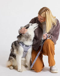 2025 New Edition, Fei & Eve MagEase Dog Harness - 3-Second Magnetic Buckles | 3-Point No-Pull Control | Heavy-Duty 900D Nylon | Dual Safety Handles | Breathable Mesh | Adjustable Fit | Medium, Gray