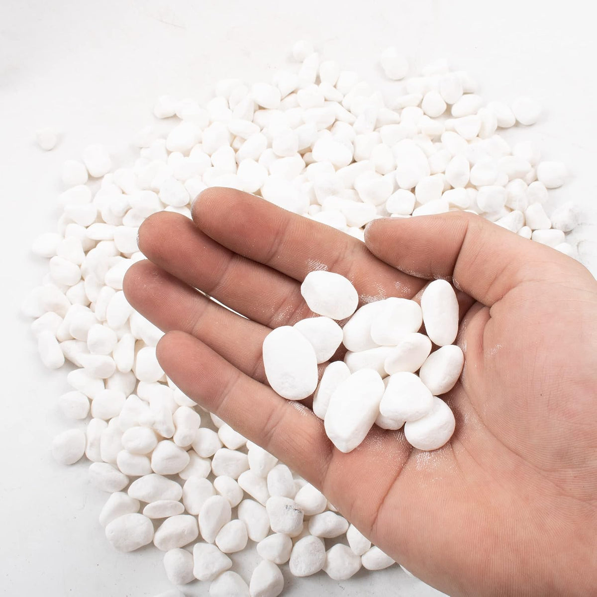 45lb White Rocks for Plants, Potting - 1.8LB / Black - image 2