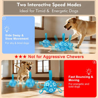 Interactive Dog Toys Dog Soccer Ball to Keep Them Busy – Essentials for Dogs - Blue - image 2