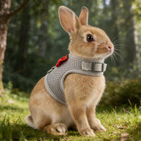 Breathable Bunny Harness and Leash Set with Cute Bow, Black S – Essentials for Small Pets - S / Grey - image 3