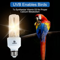 UVA UVB Light Bulb for Birds 2.4 UVB 20W Compact Flourescent Lamp - image 4