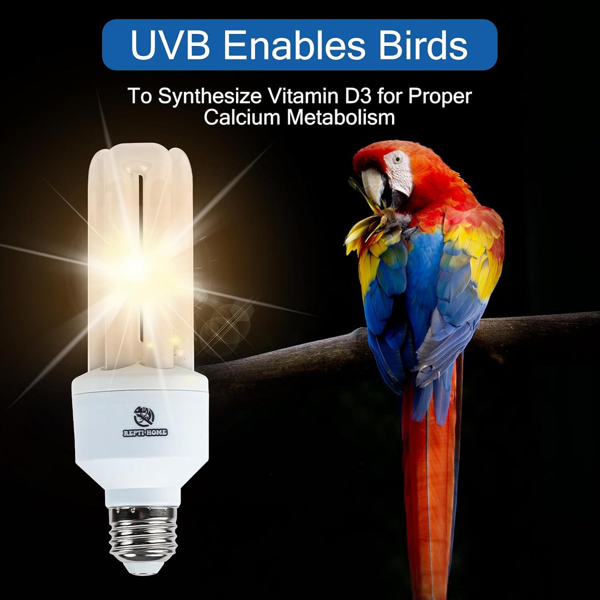 UVA UVB Light Bulb for Birds 2.4 UVB 20W Compact Flourescent Lamp - image 4