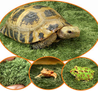 2pcs Reptile Carpet Terrarium Liner Tortoise Bedding Reptile - 2PCS（M）：11.81 X 7.87 in - image 2