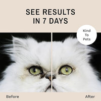 Eye Envy Tear Stain Wipes for Cats. Textured to Gently Clean, Treats The Cause of Staining. 100% Natural Formula. Recommended by Persian & Exotic Breeders, Vets, Groomers. USA Made. 60 Cat Eye Wipes