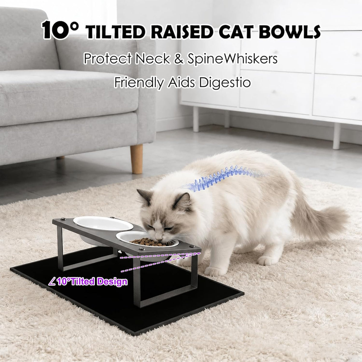 Elevated Cat Bowls with Splash Proof Mat for Kitten Puppy - White / 2bowls - image 2