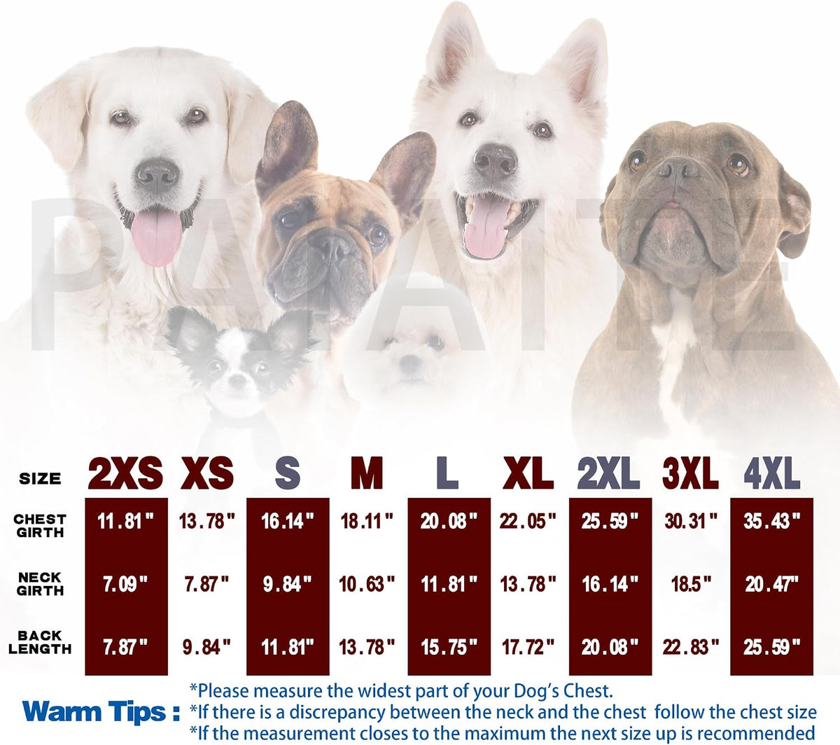 Personality Canine Attire: Soft - XXS-(1~3lb) | Chest(~11.8") / Purple - image 3