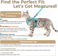 Cat Harness and Leash Set, Escape Proof Cat Vest, XL - Turquoise / Large - image 2