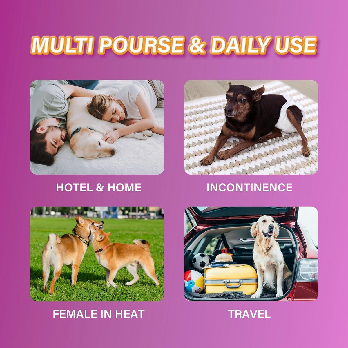 HONEY CARE All-Absorb Disposable Female Dog Diapers Small Size - Large (Pack of 1) - image 4
