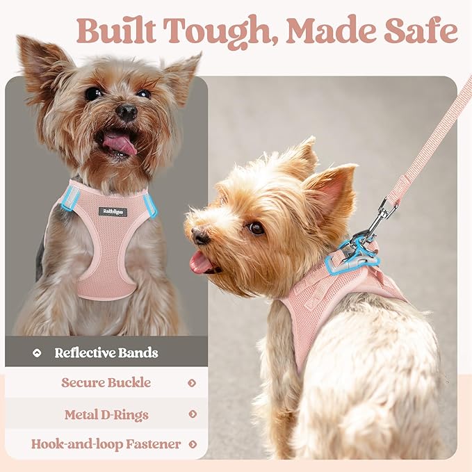 rabbitgoo Dog Harness Small Sized and Leash Set, Step in Soft Light Puppy Vest, Breathable Mesh Pet Harness, Reflective for Safe Outdoor Walking, Pink M