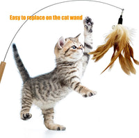 Cat Feather Toys Refill, 16 Pieces Cat Wand Replacement Feathers Toy for Indoor Cats – Essentials for Cats - 16PCS Cat Feather Toy Refills - image 2