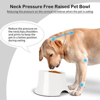 Tilted Elevated Dog Bowls Non-Slip & Non-Spill Pet Feeder - M/2 Cup / White - image 2