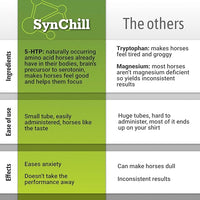 SynChill Oral Horse Calming Gel, 100% Natural & Nutritional Supplement, Lab Proven Results, Designed for Peak Focus & Performance, Approved by Veterinarians, FEI Compliant & Made in USA - 12-Pack