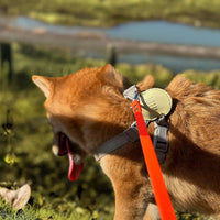 Dog Training Long Leash Waterproof Long Line Heavy Duty Outdoor - 10FT / Orange - image 2