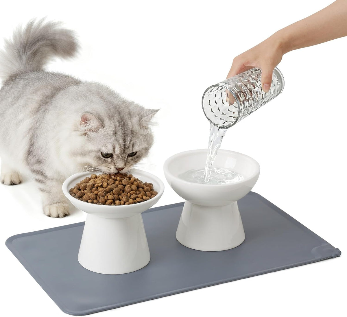 2-Pack Elevated Ceramic Cat Bowls Extra Wide for Food & Water – Essentials for Cats - White+Mat