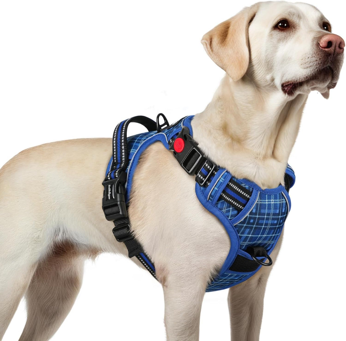 rabbitgoo Dog Harness for Large - Blue Plaid / Large
