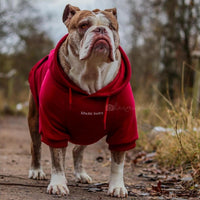 Spark Paws Dog Hoodie, Buttery-Soft Sweater Sweatshirt - Burgundy / 5XL - image 2