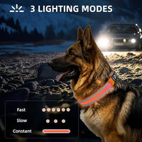 PetIsay LED Dog Collar Metal Buckle - Heavy Duty Light up Collars - Rechargeable IP68 Waterproof - Lighted Dog Collar for Night Walking, Hiking, Camping (Medium, Orange)