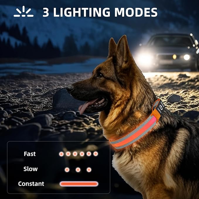 PetIsay LED Dog Collar Metal Buckle - Heavy Duty Light up Collars - Rechargeable IP68 Waterproof - Lighted Dog Collar for Night Walking, Hiking, Camping (Medium, Orange)